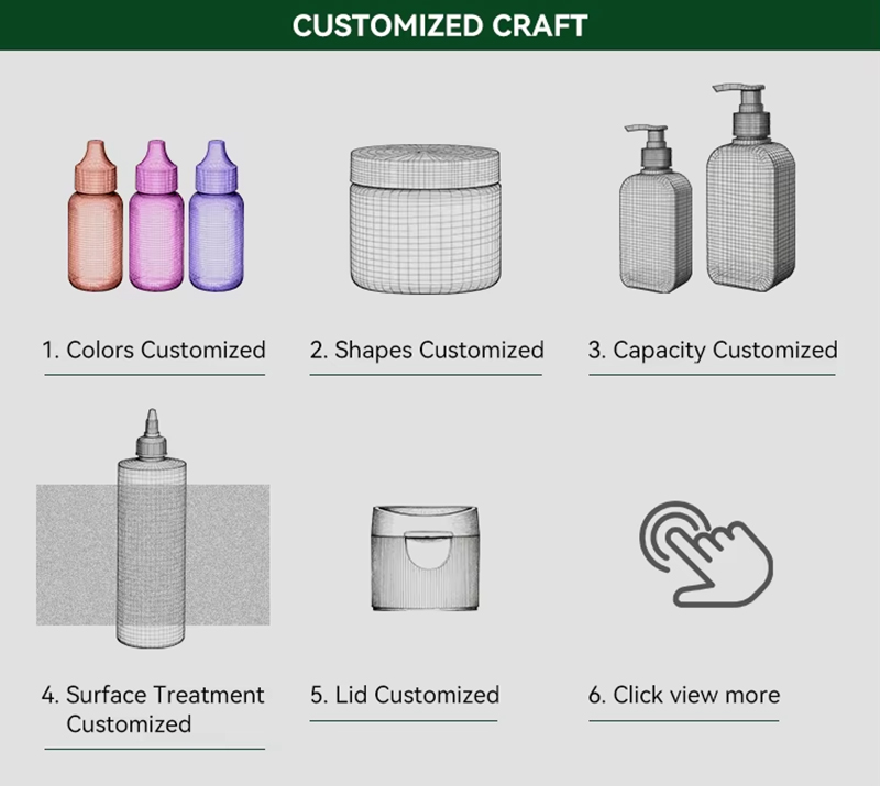 SANLE customization capability examples